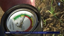 Le plan Ecophyto devrait réduire de moitié l'utilisation des pesticides