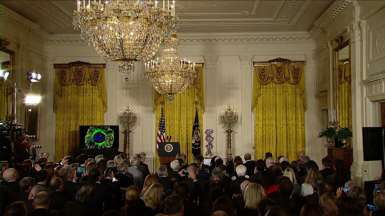 EUA investem em medicina personalizada