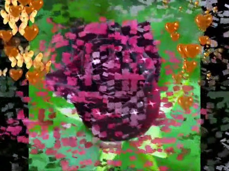 zeki müren-bir gülü sevdim bir seni sevdim