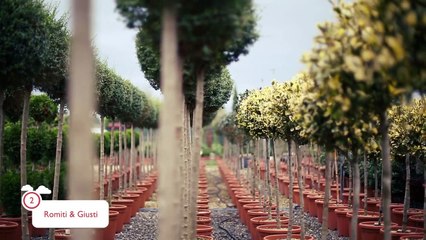 Play Your Tuscany - Pistoia & province