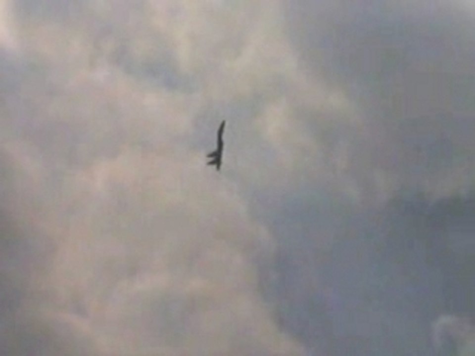 SU-35