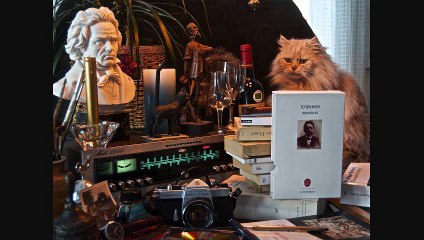 Nouvelle d'Anton TCHEKHOV - Toi et Vous - Seconde version