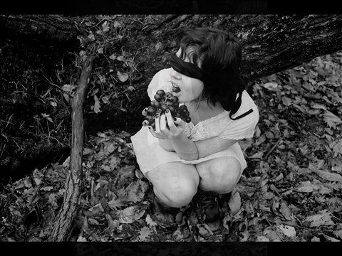 BRUNO THIEVET : EXOTICA -photos-