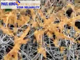 Sự mê hoặc của máy móc: cấu tạo và nguyên lý hoạt động của máy nén khí