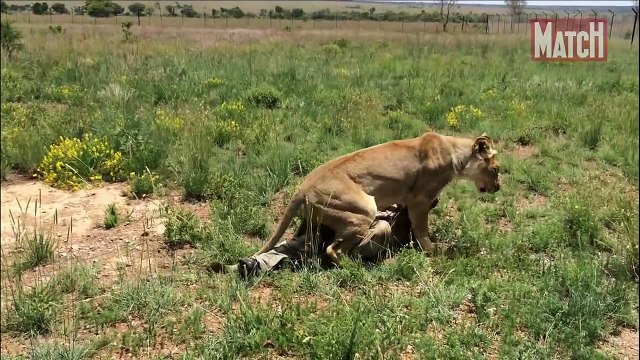 Animals Documentary National Geographic: Animals/Wildlife/Nature (Documentary) #09