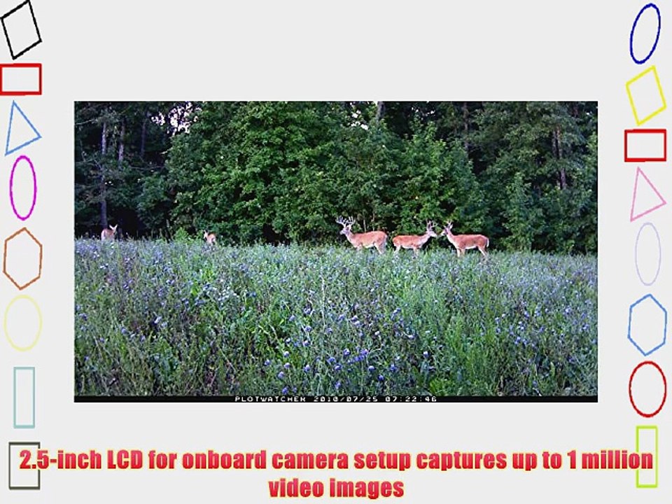 Day 6 Plotwatcher Pro HD Game Surveillance System