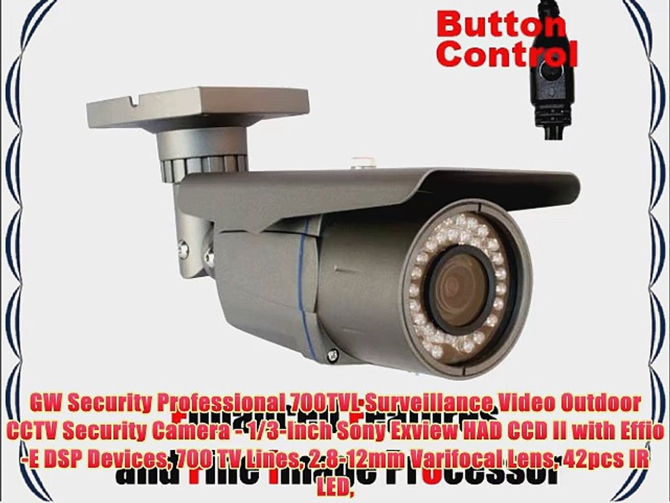 GW Security Professional 700TVL Surveillance Video Outdoor CCTV Security Camera - 1/3-Inch