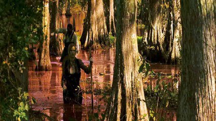 Watch The Reaping Full Movie