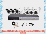 iPower Security SCCMBO0006-500G 8 Channel 500GB HDD Full D1 DVR Security Surveillance System