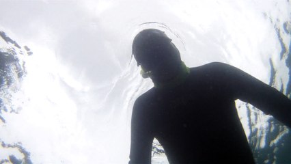 Turismo, Submarino, Observação Marinha, Navegação, 15 milhas naúticas, Embarcação miúda, Mares do Litoral Norte, Ubatuba, SP, Brasil, Marcelo Ambrogi, (18)