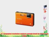 Panasonic Lumix DMC-TS1 12MP Digital Camera with 4.6x Wide Angle MEGA Optical Image Stabilized