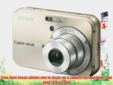 Sony Cybershot DSC-N2 10.1MP Digital Camera with  3x Optical Zoom