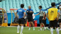 FOOTBALL: AFC Asian Cup: Australia and South Korea ready for final