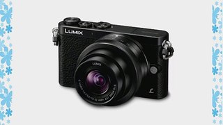 Panasonic LUMIX DMC-GM1KK Compact System Camera with 12-32mm Black Lens Kit