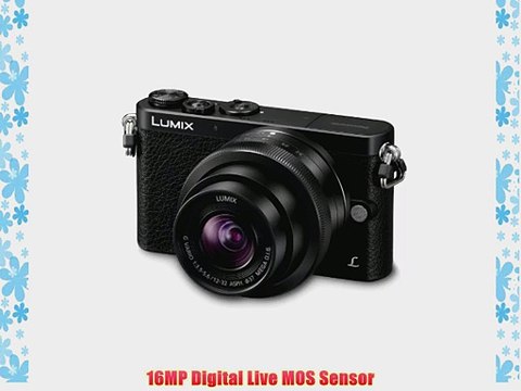 Panasonic LUMIX DMC-GM1KK Compact System Camera with 12-32mm Black Lens Kit