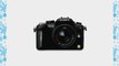 Panasonic Lumix DMC-G10 12.1 MP Live MOS Interchangeable Lens Camera with 14-42mm Lumix G Vario