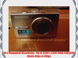 Samsung L210 10.1MP Digital Camera with 3x Optical Image Stabilized Zoom (Black)