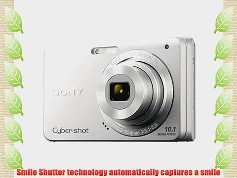 Sony Cyber-shot DSC-W180 10.1MP Digital Camera with 3x SteadyShot Stabilized Zoom and 2.7-inch
