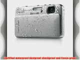 Sony Cyber-Shot DSC-TX10 16.2 MP Waterproof Digital Still Camera with Exmor R CMOS Sensor 3D