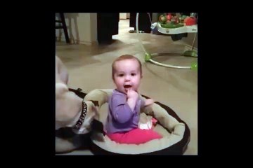 Funny Dog Making Fun With Child