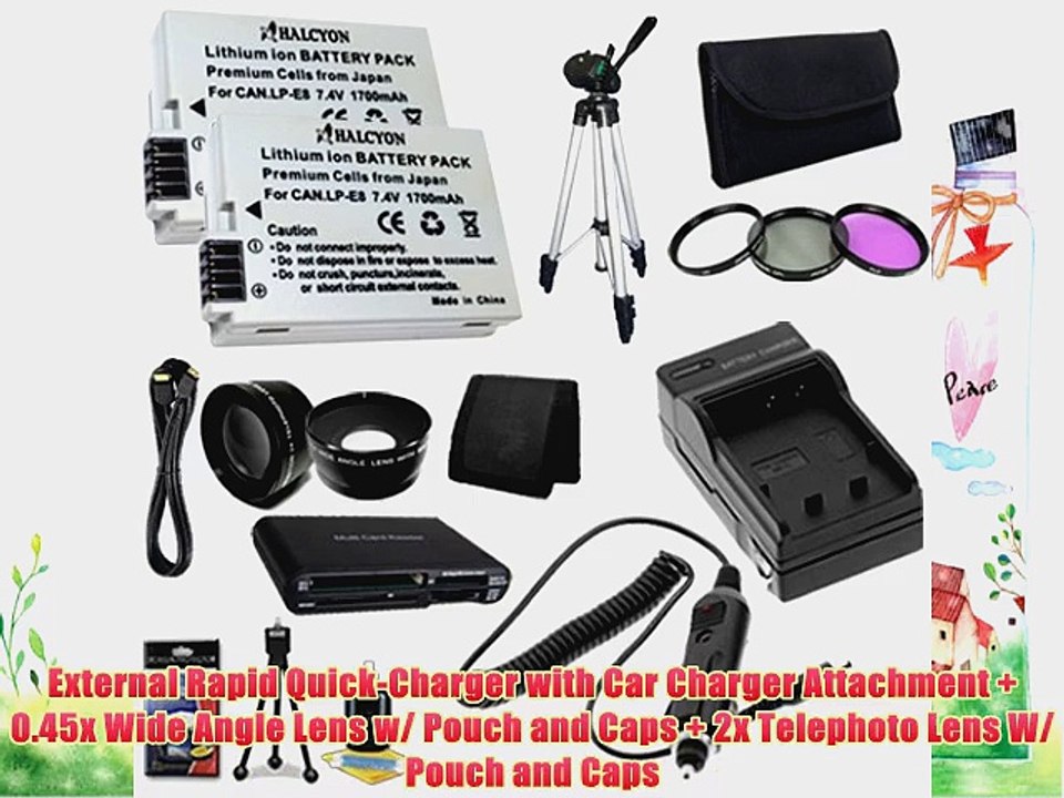 TWO LP-E8 Lithium Ion Replacement Batteries w/Charger   Mini HDMI   Memory Card Reader/Wallet