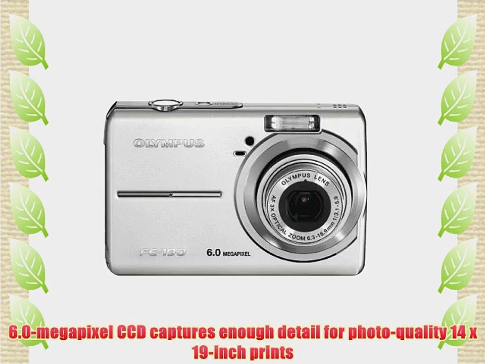 Olympus FE-190 6MP Digital Camera with Digital Image Stabilized 3x Optical Zoom