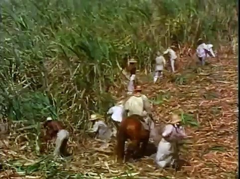 Los Esclavos - La Amistad