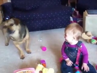 WHEN DOGS BABIES COLLID - CHILD VIDEO