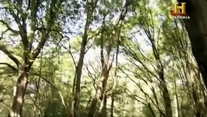 Los Malos de la Historia : Atila