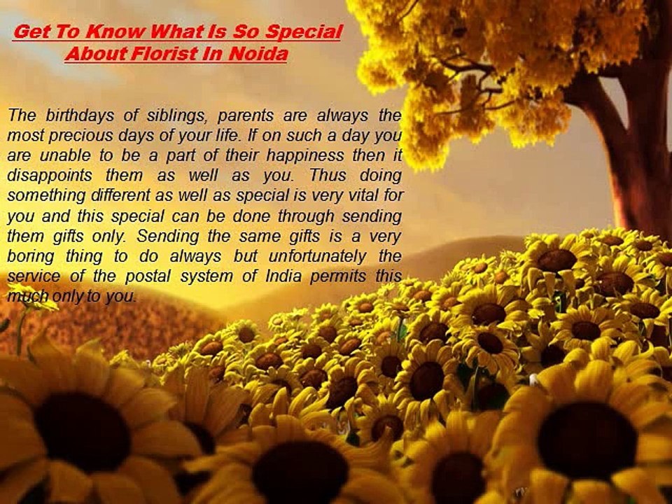 Send Flowers to Noida - Online Florist in Noida | Flowers Delivery Noida