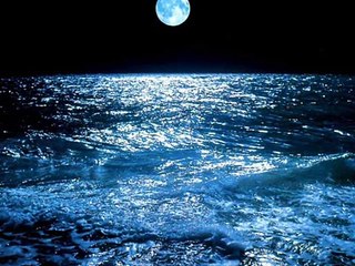 KIRAÇ (Konma bülbül konma) -GÖNÜL TÜRKÜLERİ--SEVDALI TÜRKÜLERİN  GÖNÜL SAYFASI.M.M.