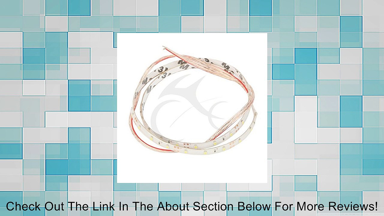 Tengchang Chrome Ring of Fire Brake Disc Rotors Covers W/ Red LED For Honda GL1800 2001-2014 2002 2003 2004 2005 2006 2007 2008 2009 2010 2011 2012 2013 Review