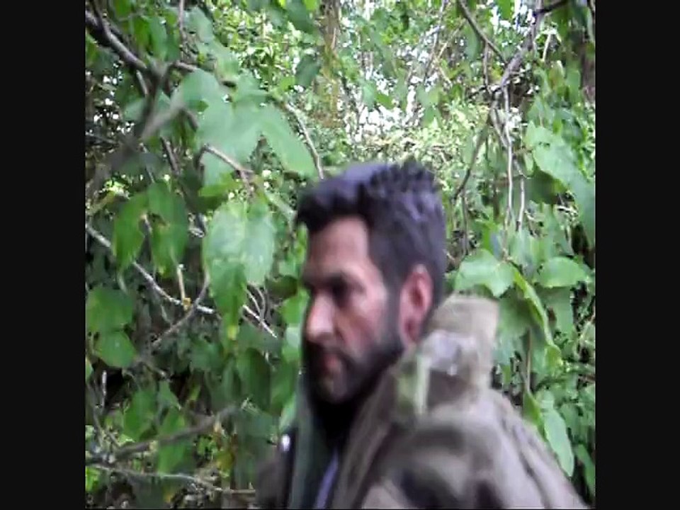 WOLVERINE