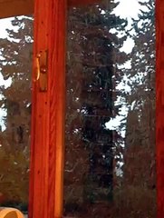 MeteoReporter Macerata 30/01/2015