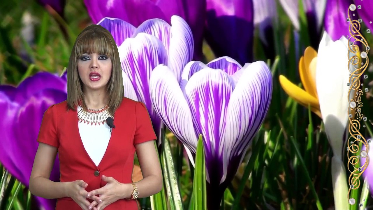 Aysel Vəlizadə -  İslam asanlıq dinidir