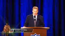 It's been a tough year - Goodell