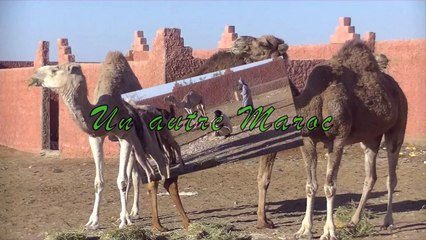 JDT 01 : Premier de l'année & hommage à Charlie