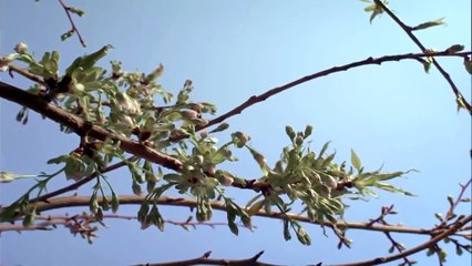 Paysage de nature étonnante