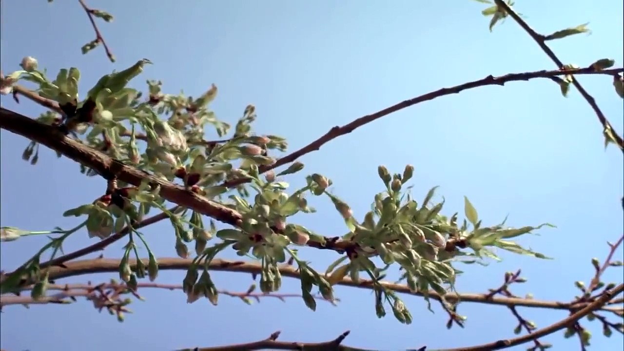 Paysage de nature étonnante