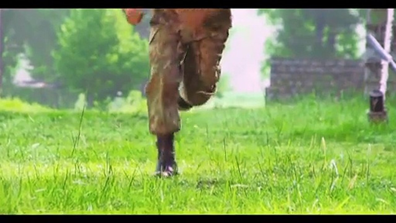 Defender ISPR documentary on Pakistan Armed Forces winner of Rome Film festival best documentary award