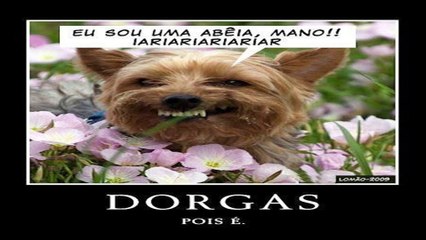 Fotos Engraçadas facebook