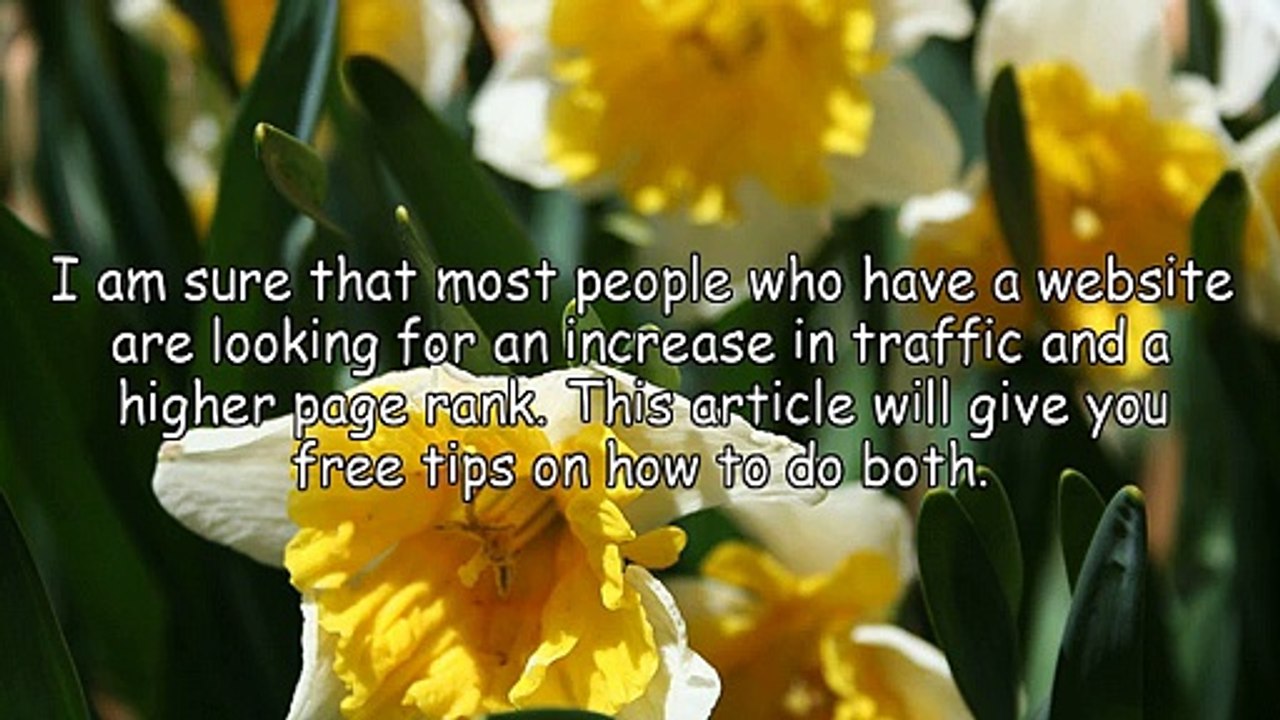 Boost Your Traffic And Page Rank With These Free Tips