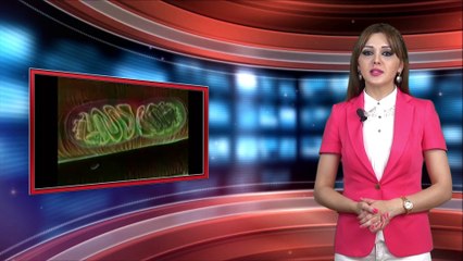 Aysel Vəlizadə - Necə nəfəs alırıq?