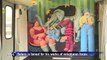 Colombia's Botero opens circus exhibit
