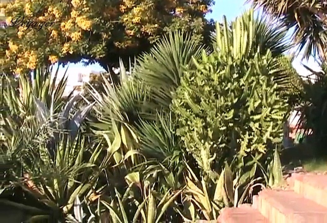 Morning at the 'Royal Grand Sharm' -- Утро в отеле ' Royal Grand Sharm ' 2006