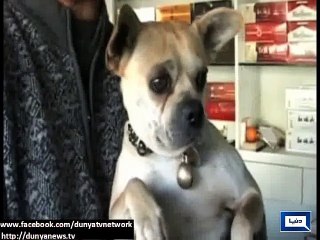 Dunya News - Light stories from all over the world