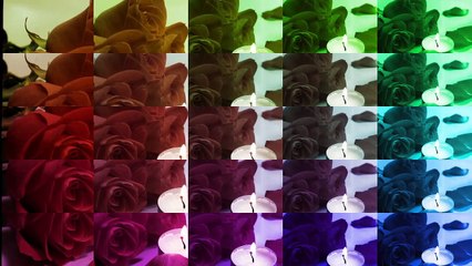 bon jovi bed of roses