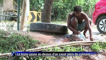 Rio: affronter des caïmans pour avoir de l'eau potable