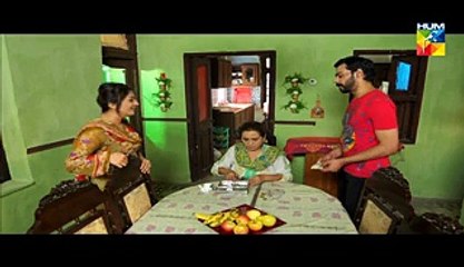 Digest Writer Episode 18 Part 3 HUM TV Drama Jan 31, 2015 - Video Dailymotion