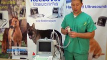 KX2600V Introduction / Affordable Ultrasound Machine